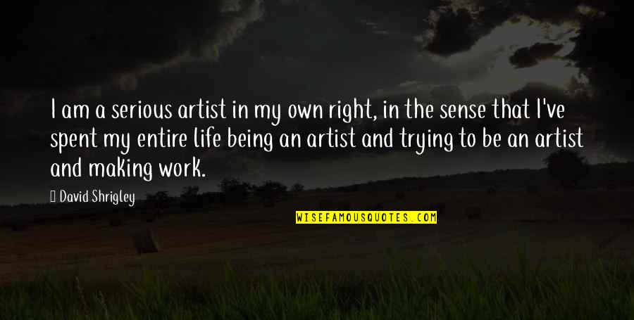 Making Sense Quotes By David Shrigley: I am a serious artist in my own Making Sense Quotes By David Shrigley: I am a serious artist in my own