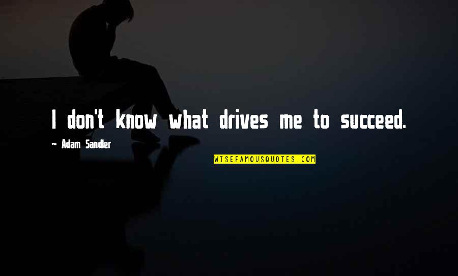 Making Smart Choices Quotes By Adam Sandler: I don't know what drives me to succeed.