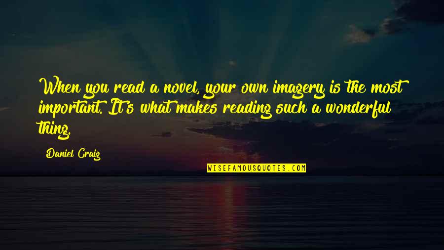 Making The World A Better Place Quotes By Daniel Craig: When you read a novel, your own imagery