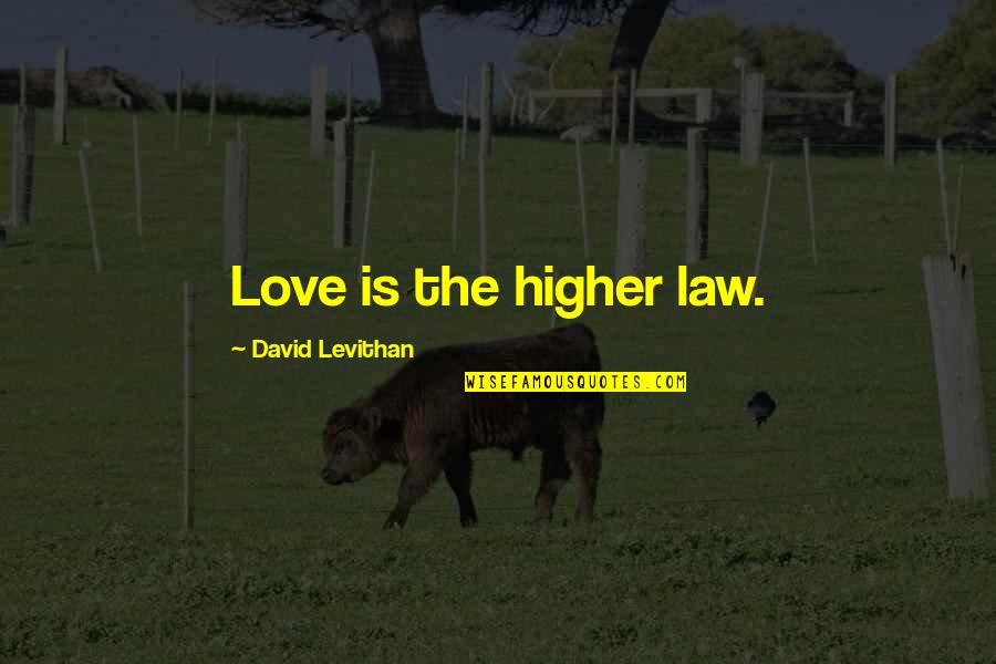 Making Time For Priorities Quotes By David Levithan: Love is the higher law.