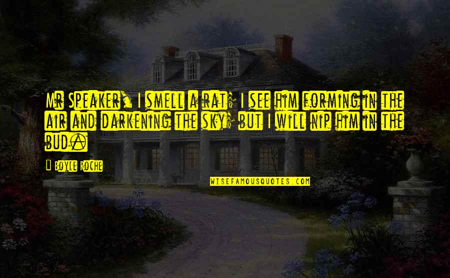 Making Time For Someone You Love Quotes By Boyle Roche: Mr Speaker, I smell a rat; I see