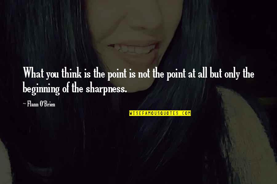 Maklakiewicz Himilsbach Quotes By Flann O'Brien: What you think is the point is not