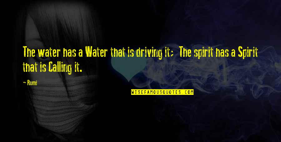 Maklowicz Grochowka Quotes By Rumi: The water has a Water that is driving