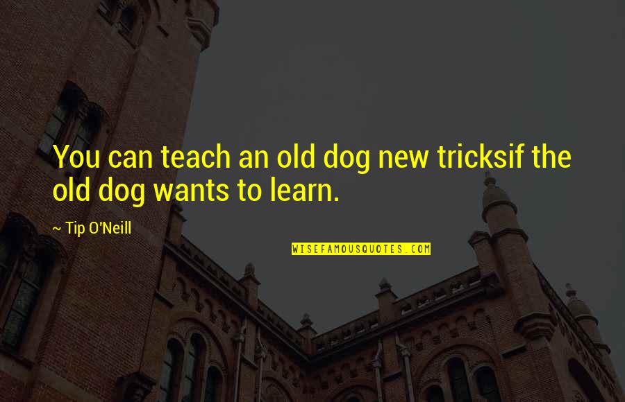 Makomi Quotes By Tip O'Neill: You can teach an old dog new tricksif