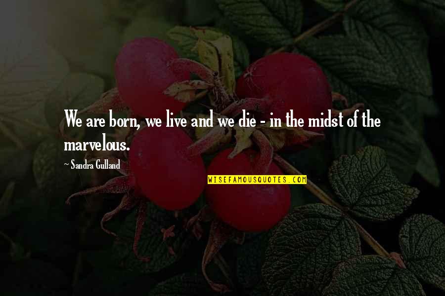 Makr Quotes By Sandra Gulland: We are born, we live and we die