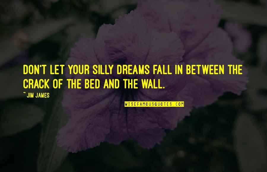 Malades Quotes By Jim James: Don't let your silly dreams fall in between