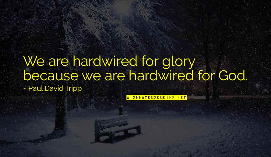 Maladjustment Disorder Quotes By Paul David Tripp: We are hardwired for glory because we are