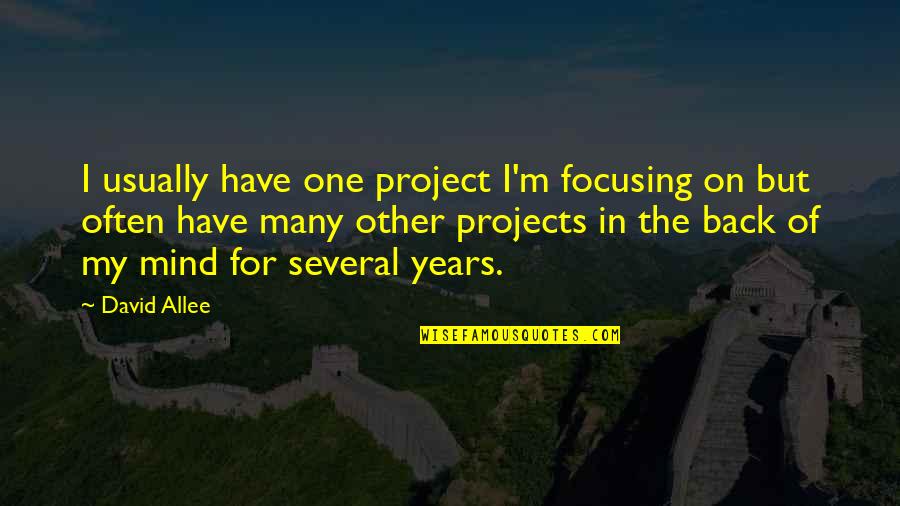 Malaguzzi Quotes By David Allee: I usually have one project I'm focusing on