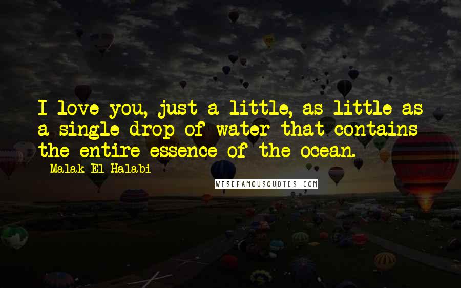 Malak El Halabi quotes: I love you, just a little, as little as a single drop of water that contains the entire essence of the ocean.