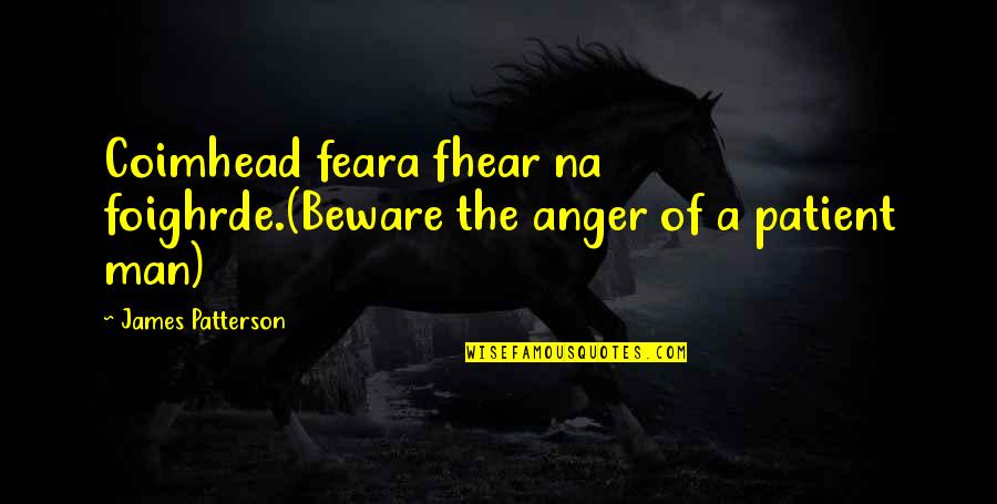 Malakeh Zahedi Quotes By James Patterson: Coimhead feara fhear na foighrde.(Beware the anger of