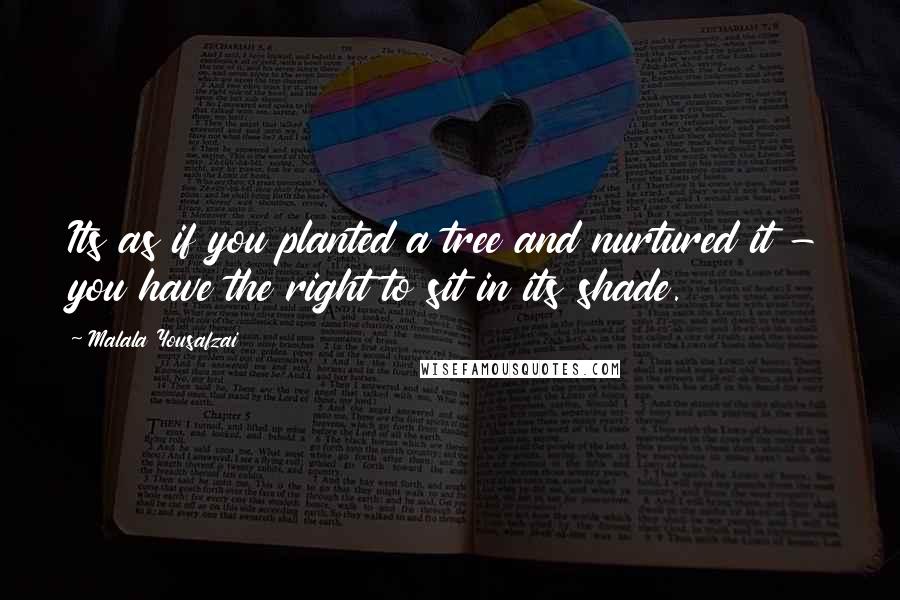 Malala Yousafzai quotes: Its as if you planted a tree and nurtured it - you have the right to sit in its shade.