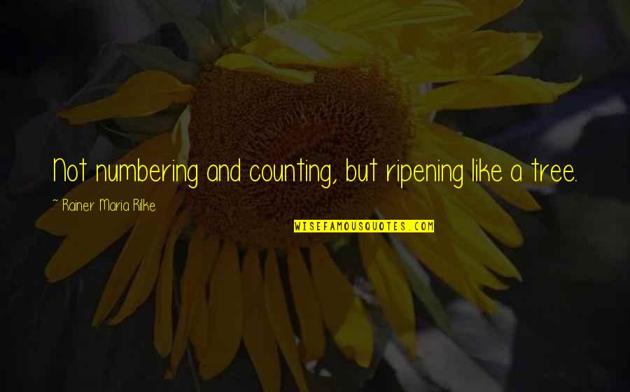 Malamig Ang Pasko Quotes By Rainer Maria Rilke: Not numbering and counting, but ripening like a