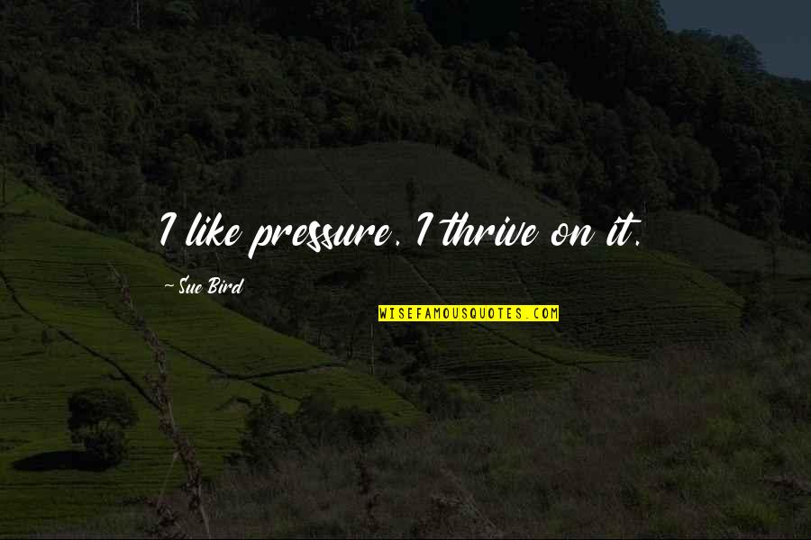 Malamig Ang Pasko Quotes By Sue Bird: I like pressure. I thrive on it.