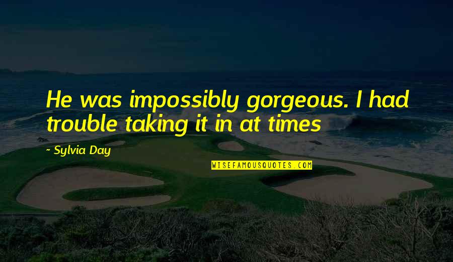 Malapit Na Mag Break Quotes By Sylvia Day: He was impossibly gorgeous. I had trouble taking