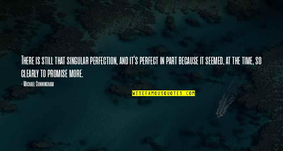 Malawak Kahulugan Quotes By Michael Cunningham: There is still that singular perfection, and it's
