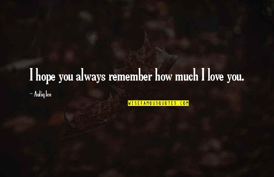 Malbar Quotes By Auliq Ice: I hope you always remember how much I