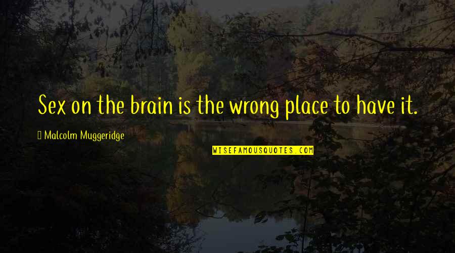 Malcolm Muggeridge Quotes By Malcolm Muggeridge: Sex on the brain is the wrong place Malcolm Muggeridge Quotes By Malcolm Muggeridge: Sex on the brain is the wrong place