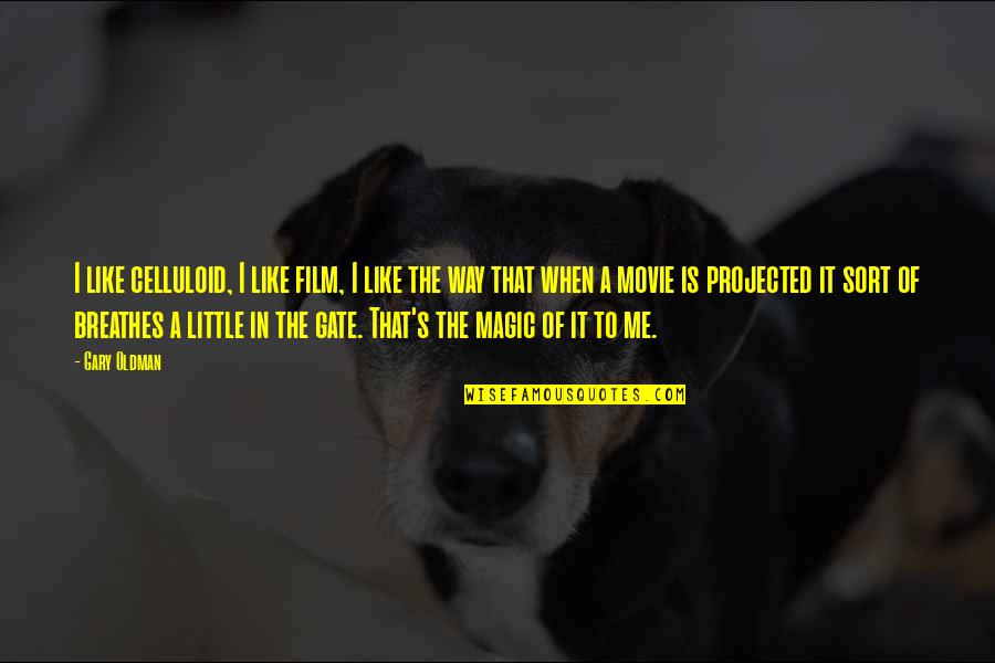 Malcolm Price Quotes By Gary Oldman: I like celluloid, I like film, I like