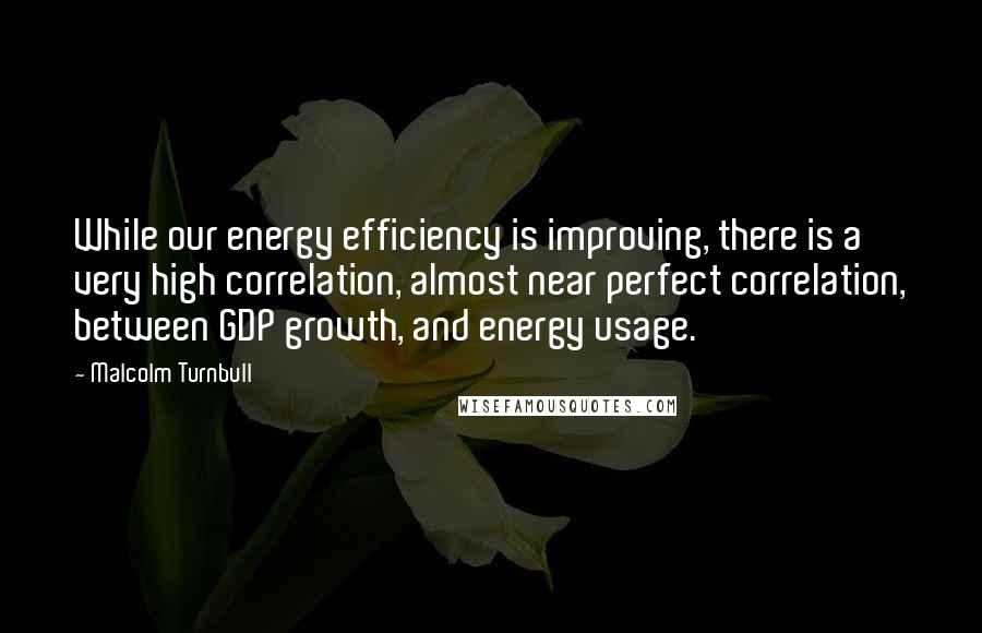 Malcolm Turnbull quotes: While our energy efficiency is improving, there is a very high correlation, almost near perfect correlation, between GDP growth, and energy usage.