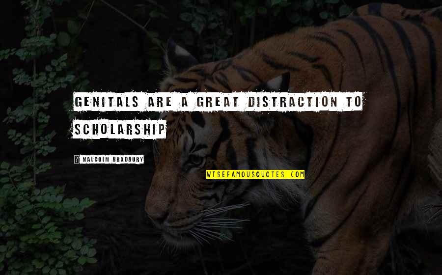 Malcolm X Great Quotes By Malcolm Bradbury: Genitals are a great distraction to scholarship Malcolm X Great Quotes By Malcolm Bradbury: Genitals are a great distraction to scholarship