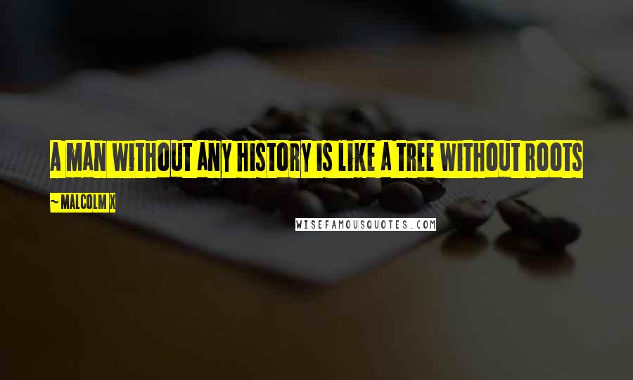 Malcolm X quotes: A man without any history is like a tree without roots