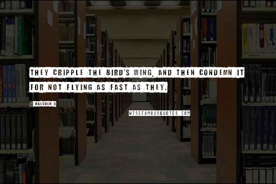 Malcolm X quotes: They cripple the bird's wing, and then condemn it for not flying as fast as they.