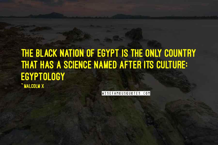 Malcolm X quotes: The black nation of Egypt is the only country that has a science named after its culture: Egyptology