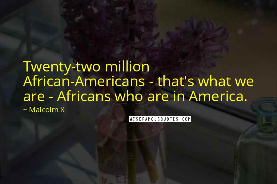 Malcolm X quotes: Twenty-two million African-Americans - that's what we are - Africans who are in America.