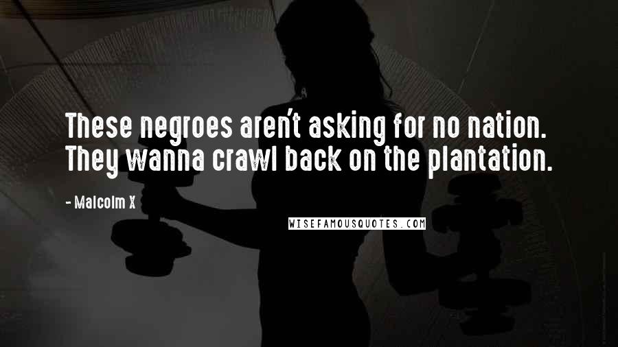 Malcolm X quotes: These negroes aren't asking for no nation. They wanna crawl back on the plantation.
