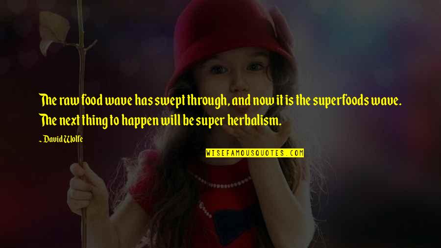 Malditos Marginales Quotes By David Wolfe: The raw food wave has swept through, and Malditos Marginales Quotes By David Wolfe: The raw food wave has swept through, and