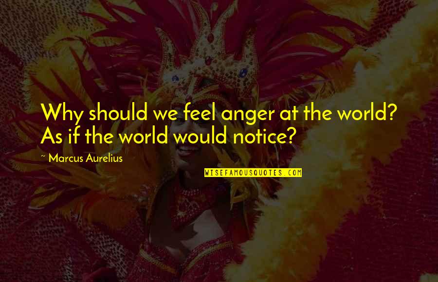 Male Chauvinist Pigs Quotes By Marcus Aurelius: Why should we feel anger at the world?
