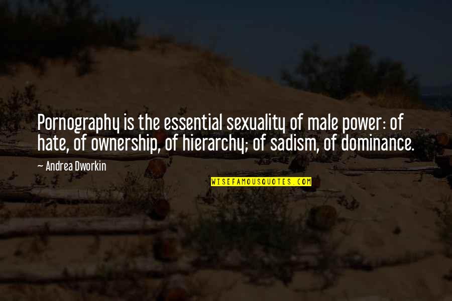 Male Dominance Quotes By Andrea Dworkin: Pornography is the essential sexuality of male power: