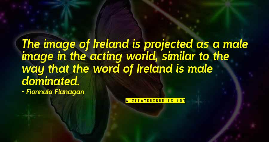 Male Dominated Quotes By Fionnula Flanagan: The image of Ireland is projected as a