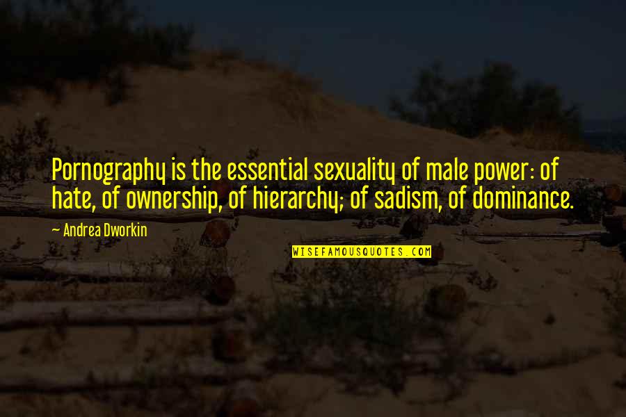 Male Power Quotes By Andrea Dworkin: Pornography is the essential sexuality of male power: