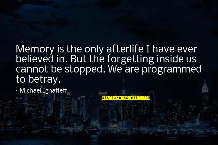 Male Prostitutes Quotes By Michael Ignatieff: Memory is the only afterlife I have ever