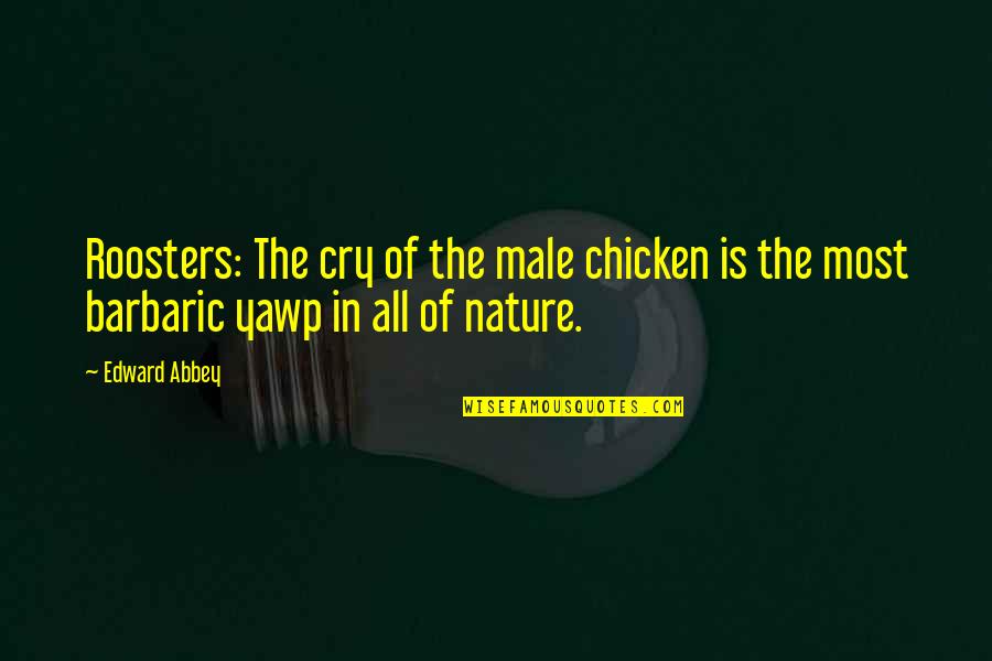 Male Quotes By Edward Abbey: Roosters: The cry of the male chicken is