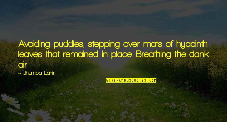 Maledetto Amore Quotes By Jhumpa Lahiri: Avoiding puddles, stepping over mats of hyacinth leaves Maledetto Amore Quotes By Jhumpa Lahiri: Avoiding puddles, stepping over mats of hyacinth leaves