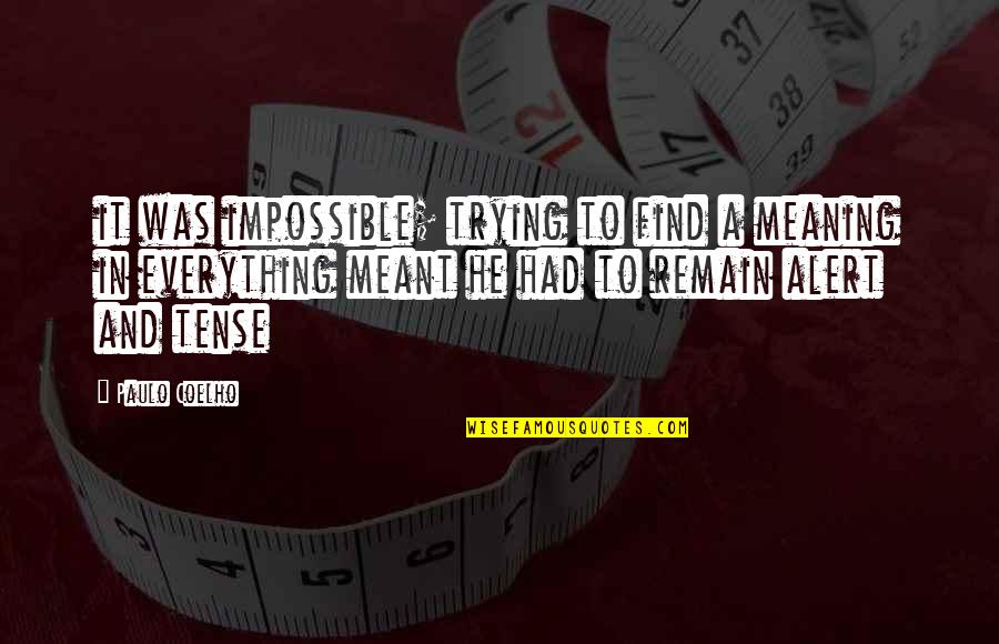 Maleko And Flash Quotes By Paulo Coelho: it was impossible; trying to find a meaning