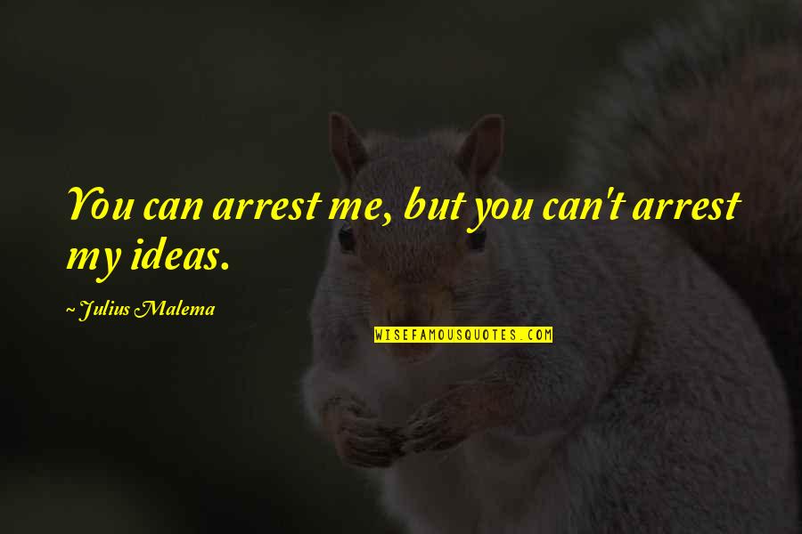 Malema Best Quotes By Julius Malema: You can arrest me, but you can't arrest