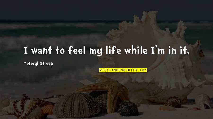 Malevolent Antonym Quotes By Meryl Streep: I want to feel my life while I'm