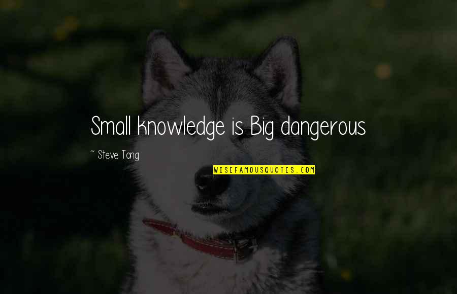 Malfeasance Misfeasance Quotes By Steve Tong: Small knowledge is Big dangerous