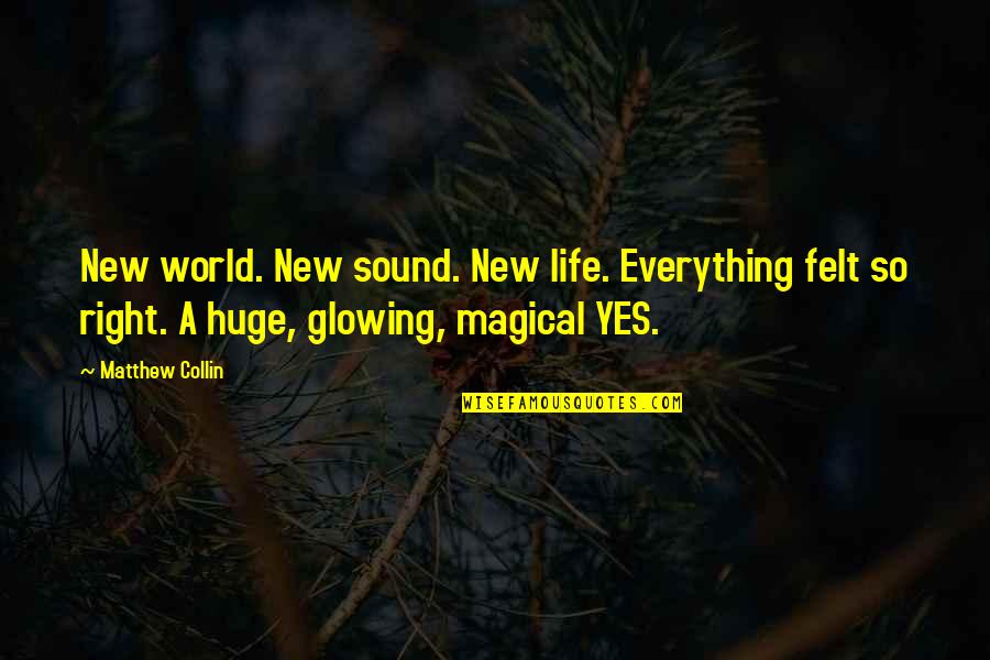 Malfoy Potter Quotes By Matthew Collin: New world. New sound. New life. Everything felt Malfoy Potter Quotes By Matthew Collin: New world. New sound. New life. Everything felt