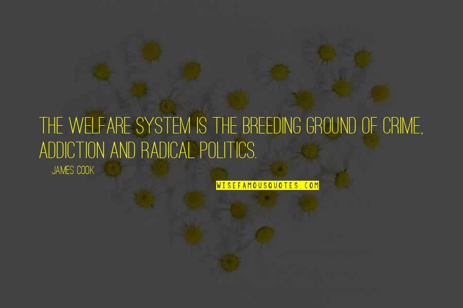 Malfoys Save Harry Quotes By James Cook: The welfare system is the breeding ground of