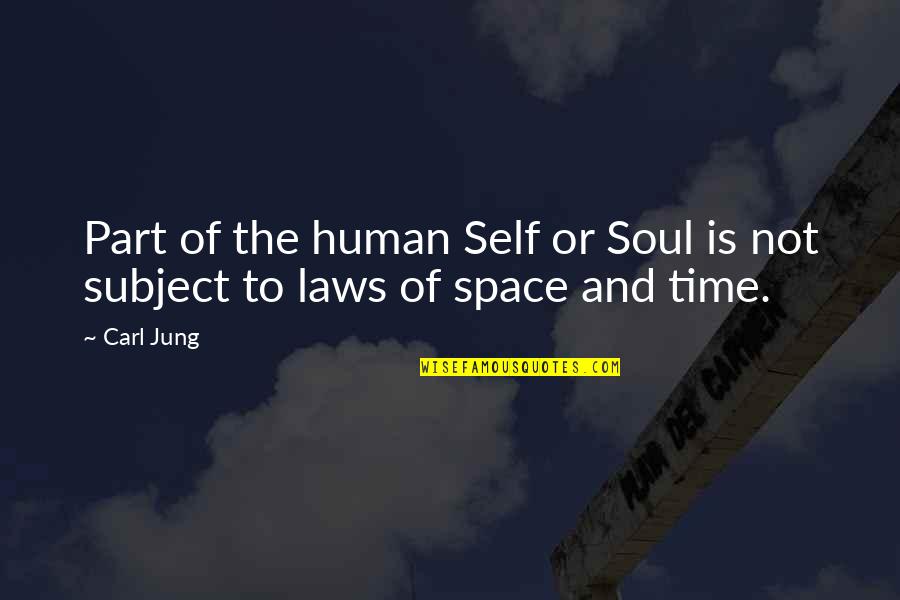 Malfunctioned Quotes By Carl Jung: Part of the human Self or Soul is
