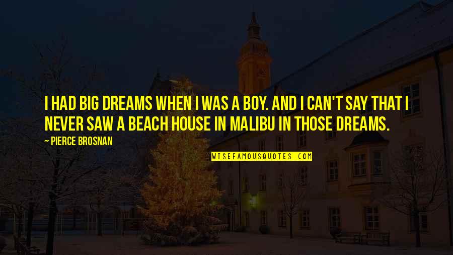 Malibu Beach Quotes By Pierce Brosnan: I had big dreams when I was a