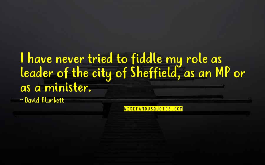 Malice Of Fortune Quotes By David Blunkett: I have never tried to fiddle my role Malice Of Fortune Quotes By David Blunkett: I have never tried to fiddle my role