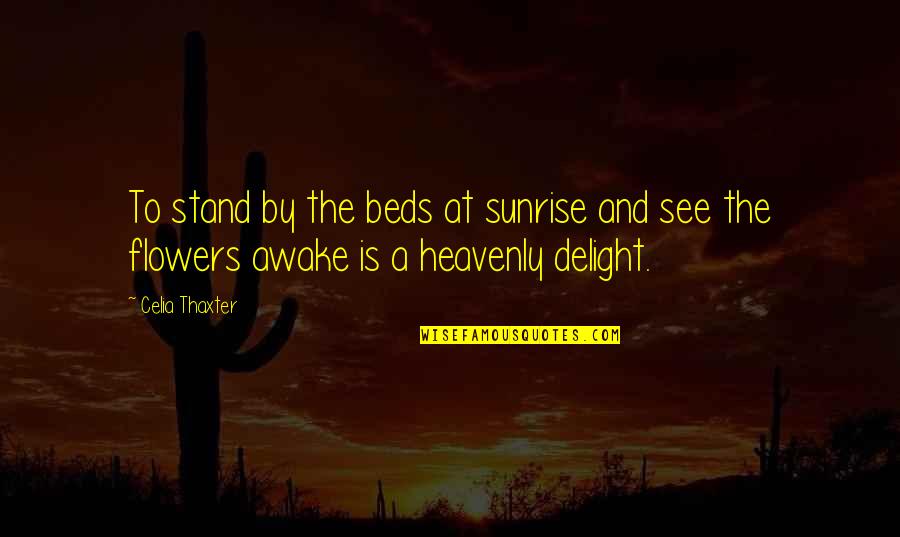 Malignance Quotes By Celia Thaxter: To stand by the beds at sunrise and