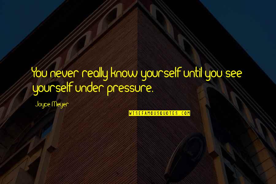 Malinaw Kasingkahulugan Quotes By Joyce Meyer: You never really know yourself until you see