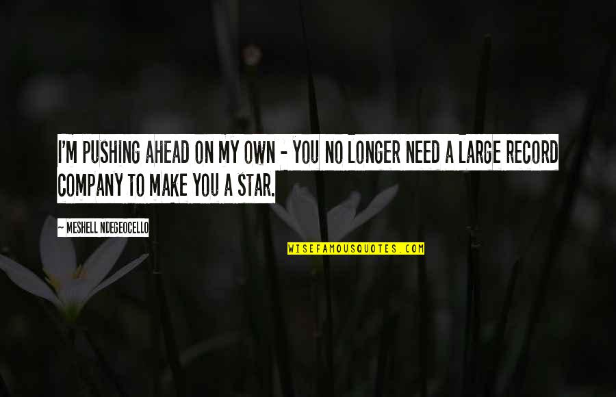 Malkins Quotes By Meshell Ndegeocello: I'm pushing ahead on my own - you Malkins Quotes By Meshell Ndegeocello: I'm pushing ahead on my own - you