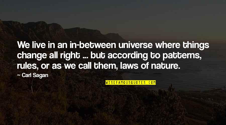 Mallard Geese Quotes By Carl Sagan: We live in an in-between universe where things